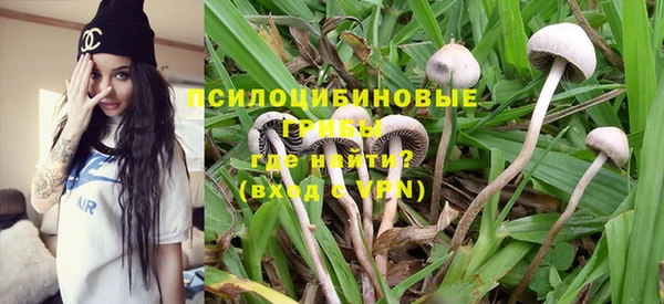 бошки Нягань