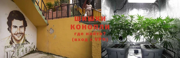 бошки Нягань