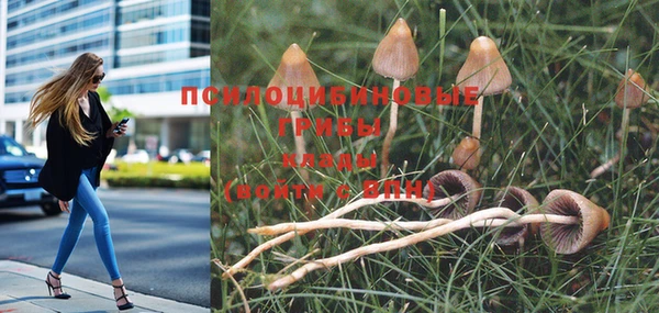 бошки Нягань