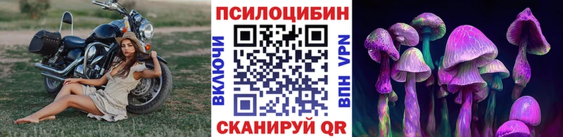 Галлюциногенные грибы Psilocybine cubensis  Торопец 